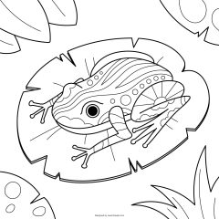 Rana Dibujada Mano Colorear 23 2148951835